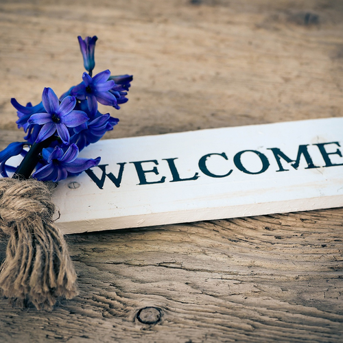 Eine blaue Hyazinthe, die auf einem weißen Holzschild mit der Aufschrift "Welcome" liegt.